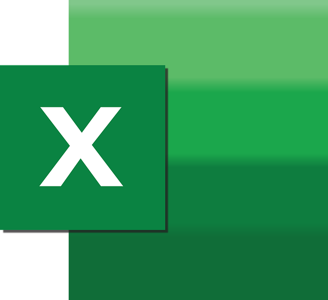 MICROSOFT EXCEL - LIVELLO BASE